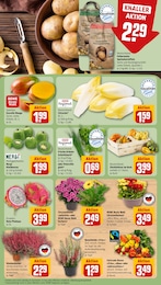 REWE Mango im Prospekt REWE Mango im Prospekt