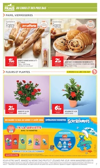 Promotion Plante Verte dans le prospectus Netto, valable du 19/05/2026 au 25/05/2026 Promo Plante Verte dans le catalogue Netto du moment à la page 7
