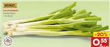 Aktuelle Gemüse Angebote bei Netto Marken-Discount in Recklinghausen Aktuelles Lauchzwiebeln Angebot bei Netto Marken-Discount in Recklinghausen ab 0,55 €