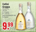 Aktuelle Bacardi Angebote bei Trinkgut in Bielefeld Aktuelles Grappa Oro Angebot bei Trinkgut in Bielefeld ab 9,99 €