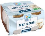 Promo SPECIALITÉ LAITIÈRE DÉLACTOSÉ 4 x 125 G à 2,75 € dans le catalogue NaturéO à Guesnain