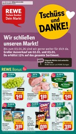 Aktueller REWE Supermarkt Prospekt in Grünenplan und Umgebung, "Dein Markt" mit 30 Seiten, 29.12.2025 - 03.01.2026