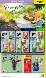 Offre Carotte dans le catalogue Lidl du moment à la page 33