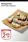 Riesengarnelen Angebote bei GLOBUS Trier für 2,49 €