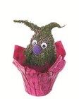 Lidl Quickborn - Calluna Spreewaldwichtel Angebot im Prospekt Calluna Spreewaldwichtel bei Lidl im Quickborn Prospekt für 5,99 €