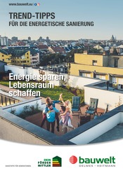 Aktueller Delmes Bauwelt Baumarkt Prospekt in Talkau und Umgebung, "Trend-Tipps FÜR DIE ENERGETISCHE SANIERUNG" mit 11 Seiten, 18.07.2025 - 27.07.2025