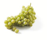 Aktuelle Weintrauben Angebote bei Lidl in Stuttgart Aktuelles Helle, kernlose Bio Trauben Angebot bei Lidl in Stuttgart ab 2,33 €
