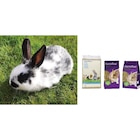 SUR TOUS LES REPAS POUR LAPIN - CARREFOUR en promo chez Carrefour Nîmes