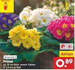 Primel Angebote bei Netto Marken-Discount Potsdam für 0,89 €