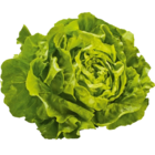 Kopfsalat im Angebot bei Netto Marken-Discount in Hagen Kopfsalat Angebote von Unsere Heimat bei Netto Marken-Discount Hagen für 0,79 €