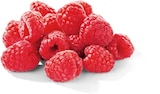 Netto Marken-Discount Ingolstadt - Himbeeren Angebot im Prospekt Himbeeren bei Netto Marken-Discount im Ingolstadt Prospekt für 1,79 €
