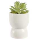 Plante artificielle en promo chez Gifi Plante artificielle dans le catalogue Gifi