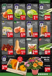 Pflanzen im EDEKA Prospekt in Rheine Aktueller EDEKA Prospekt mit Pflanzen, "Aktuelle Angebote", Seite 3