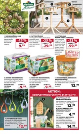 Ähnliche Angebote wie Gartenzwerg im Prospekt "So duftet der Sommer!" auf Seite 12 von Dehner Garten-Center in Bochum