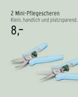 Mini-Pflegescheren im aktuellen EDEKA Prospekt