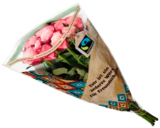 Tulpen Angebote bei E center Elmshorn für 3,99 €