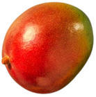 Peruan. Mango, lose »Kent« oder »Keitt« im Angebot bei Kaufland in Bottrop Peruan. Mango, lose »Kent« oder »Keitt« Angebote von Unverpackt bei Kaufland Bottrop für 1,29 €