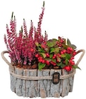 Herbst-arrangement »Herbsttraum« im Angebot bei REWE in Hoyerswerda Herbst-arrangement »Herbsttraum« Angebote bei REWE Hoyerswerda für 11,99 €