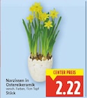Narzissen in Ostereikeramik im aktuellen E center Prospekt
