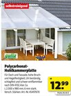 Polycarbonat-Hohlkammerplatte Angebote bei Hagebaumarkt Bochum für 12,99 €