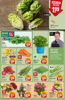 Blumen im aktuellen REWE Prospekt (Hamburg) Blumen im REWE Prospekt "Dein Markt" mit 40 Seiten (Hamburg)