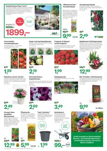 Sackkarre im BayWa AG Prospekt "Top-Angebote zum Frühlingsanfang" mit 5 Seiten (Heilbronn)