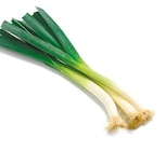 Porree im aktuellen Netto mit dem Scottie Prospekt