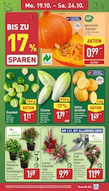 Kürbis im ALDI Nord Prospekt in Löhne Aktueller ALDI Nord Prospekt mit Kürbis, "Aktuelle Angebote", Seite 3