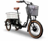 Aktuelle Fahrrad Angebote bei Netto Marken-Discount in Heidelberg Aktuelles MINNA Falt E-Trike Angebot bei Netto Marken-Discount in Heidelberg ab 2.699,00 €