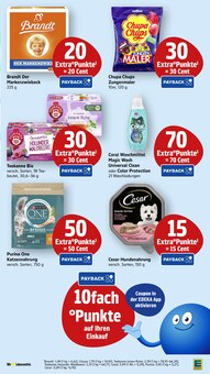 Katzenfutter im aktuellen EDEKA Prospekt (Heilbronn) Katzenfutter im EDEKA Prospekt "Aktuelle Angebote" mit 67 Seiten (Heilbronn)