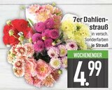 7er Dahlienstrauß im aktuellen EDEKA Prospekt