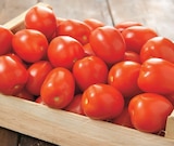 Intermarché Hyper Poitiers - Promo Tomate allongée Promo Tomate allongée à 1,99 € dans le catalogue Intermarché Hyper à Poitiers