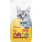 Croquettes pour chat stérilisé - CARREFOUR COMPANINO VITALIVE dans le catalogue Carrefour
