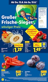 Ähnliche Papaya Angebote im Prospekt "LIDL LOHNT SICH" von Lidl in Salzgitter Ähnliche Angebote wie Papaya im Prospekt "LIDL LOHNT SICH" auf Seite 60 von Lidl in Salzgitter