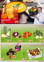 Äpfel Angebot & Preis im aktuellen Selgros Prospekt Äpfel Angebot im aktuellen Selgros Prospekt auf Seite 4