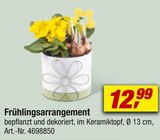 toom Baumarkt Remagen Prospekt mit  im Angebot für 12,99 €