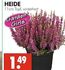 Wreesmann - HEIDE Angebot im Prospekt HEIDE bei Wreesmann im Prospekt "" für 1,49 €