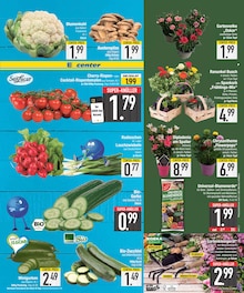 Blumen im EDEKA Prospekt "DAS BESTE DER WOCHE" mit 24 Seiten (München)