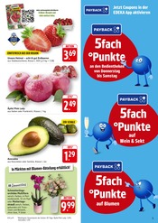 Erdbeeren im EDEKA Prospekt in Schwäbisch Hall Aktueller EDEKA Prospekt mit Erdbeeren, "Aktuelle Angebote", Seite 5