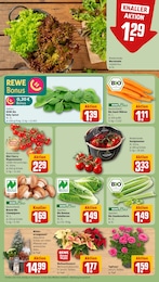 Bratpfanne Angebot im aktuellen REWE Prospekt auf Seite 7