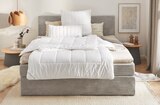Aktuelles Ganzjahresbett Uno Antigua Angebot bei Zurbrüggen in Paderborn ab 39,99 €