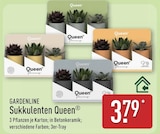 ALDI Nord Schmalstede Prospekt mit  im Angebot für 3,79 €