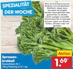 Sprossenbrokkoli im Angebot bei Netto Marken-Discount in Hoyerswerda Sprossenbrokkoli Angebote bei Netto Marken-Discount Hoyerswerda für 1,69 €