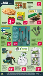 Blumentopf Angebot im aktuellen Netto mit dem Scottie Prospekt auf Seite 18