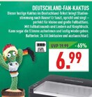 Aktuelle Batterie Angebote bei Marktkauf in Recklinghausen Aktuelles Deutschland-Fan-Kaktus Angebot bei Marktkauf in Recklinghausen ab 6,99 €