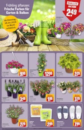 Mode Angebot im aktuellen REWE Prospekt auf Seite 9