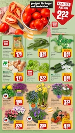 Ähnliche Sommerflieder Angebote im Prospekt "Dein Markt" von REWE in Hannover Ähnliche Angebote wie Sommerflieder im Prospekt "Dein Markt" auf Seite 9 von REWE in Hannover