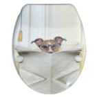 WC-Sitze im Angebot bei toom Baumarkt in Celle WC-Sitze Angebote bei toom Baumarkt Celle für 19,99 €