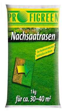 Nachsaatrasen bei Jawoll in Witten Nachsaatrasen im Angebot bei Jawoll Witten für 5,49 €