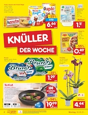 Pflanzen im Netto Marken-Discount Prospekt in Buchholz Aktueller Netto Marken-Discount Prospekt mit Pflanzen, "Aktuelle Angebote", Seite 2